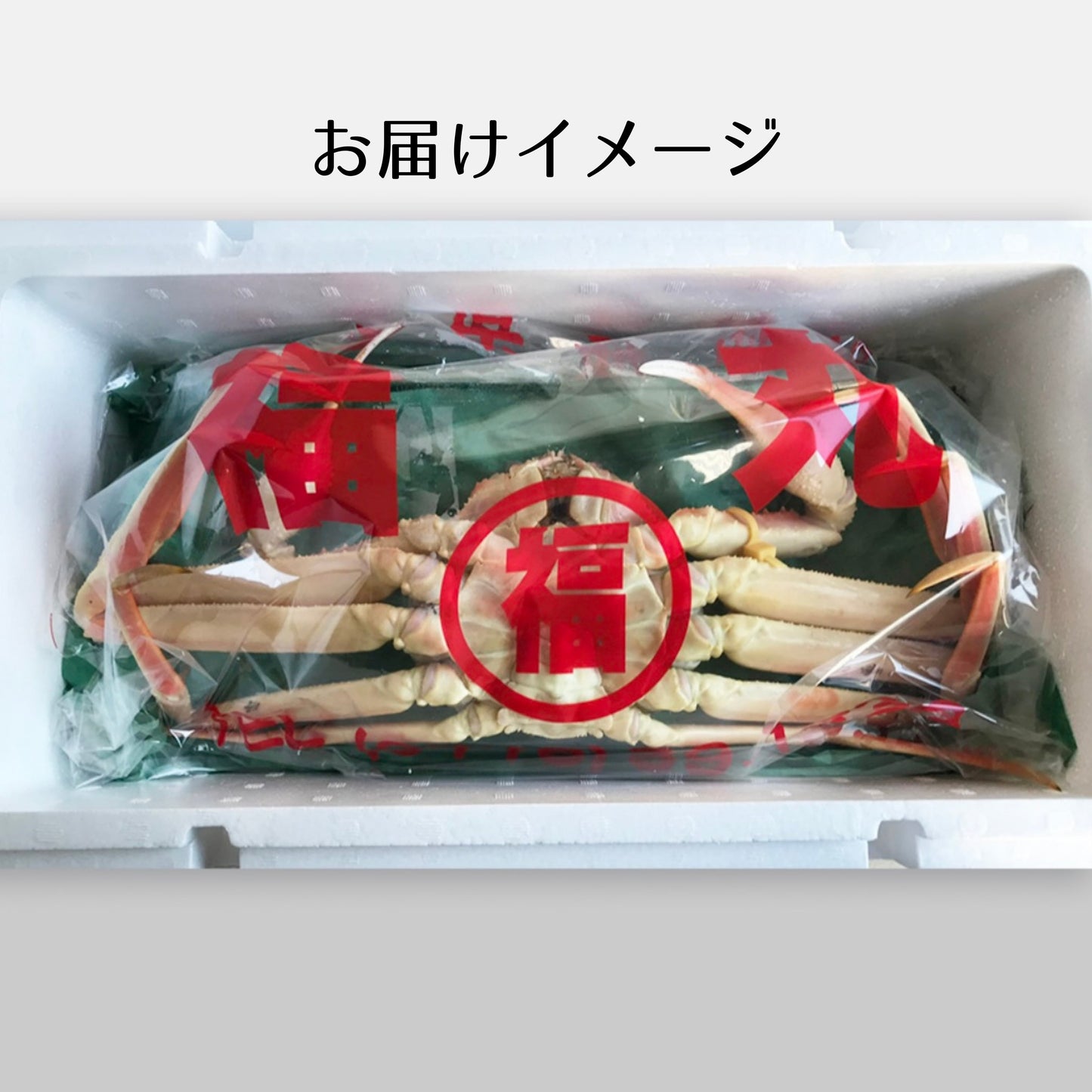 【福井】福丸フーズ 越前がに(1杯/0.8〜0.9kg)