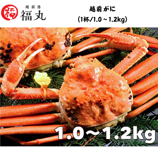 【福井】福丸フーズ 越前がに(1杯/1.0〜1.2kg)