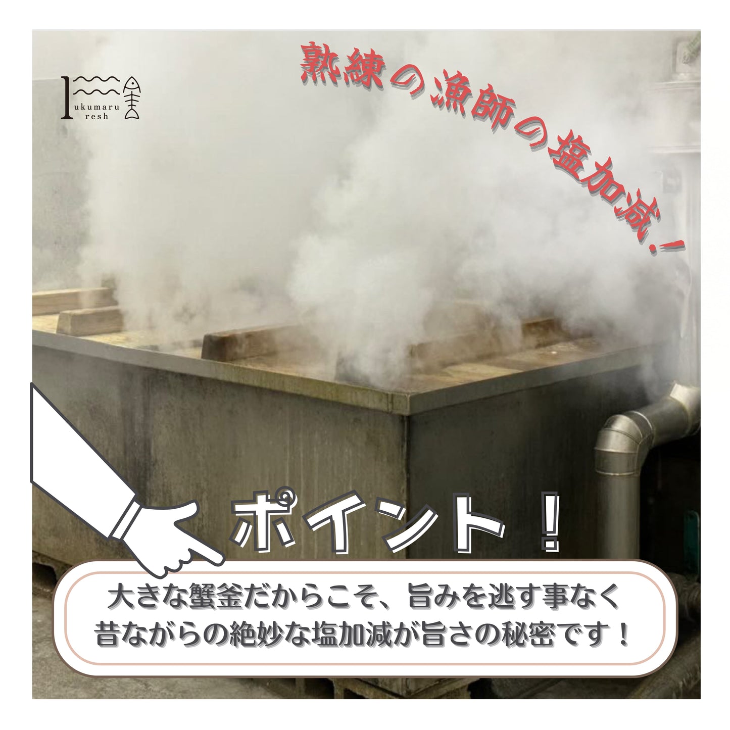 【福井】福丸ふれっしゅ セイコガニ甲羅詰め 1個(越前産)