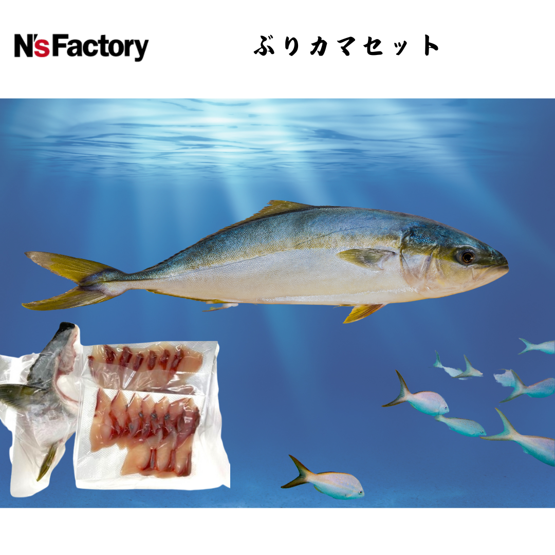 【高知】N`sファクトリー ぶりカマセット