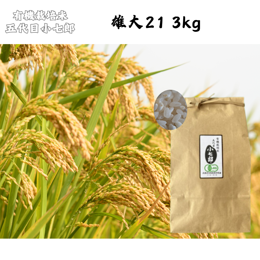【徳島】有機農園小七郎 雄大21 3kg