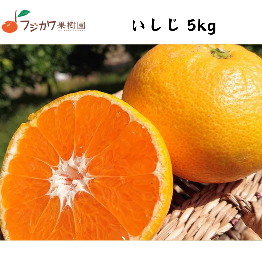 【香川】フジカワ果樹園 いしじ 温州みかん 5kg