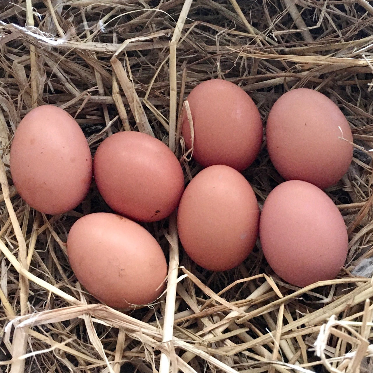 【山梨】あおき農園 冷凍 【ギフト用】平飼いたまごのカタラーナ 4個セット