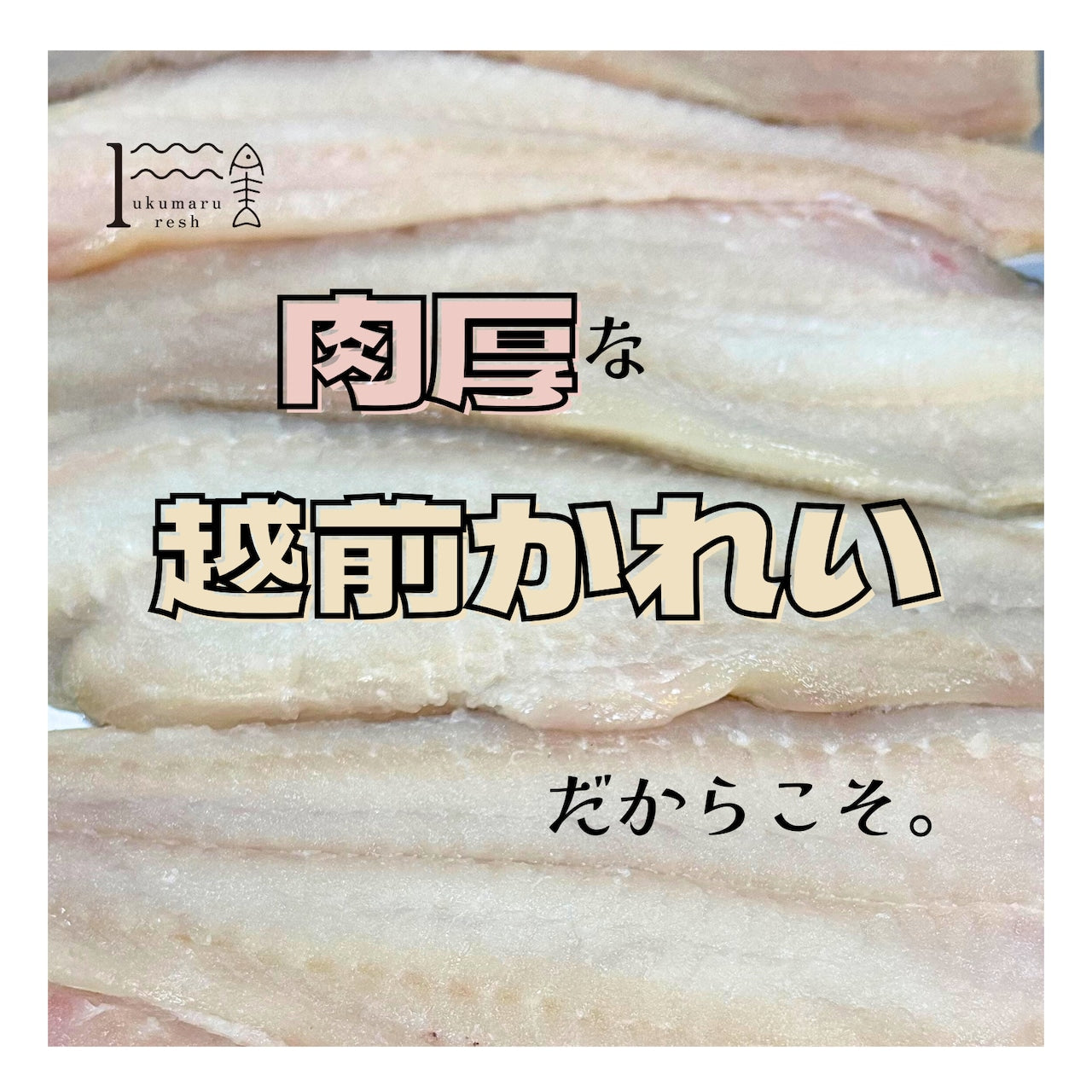 【福井】福丸ふれっしゅ 純米大吟醸酒粕使用 越前カレイの酒粕たっぷり漬け 3個セット