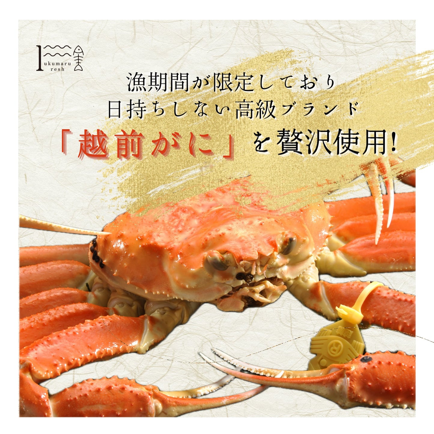 【福井】福丸ふれっしゅ 越前がに丸ごと贅沢蟹パスタソース3袋セット