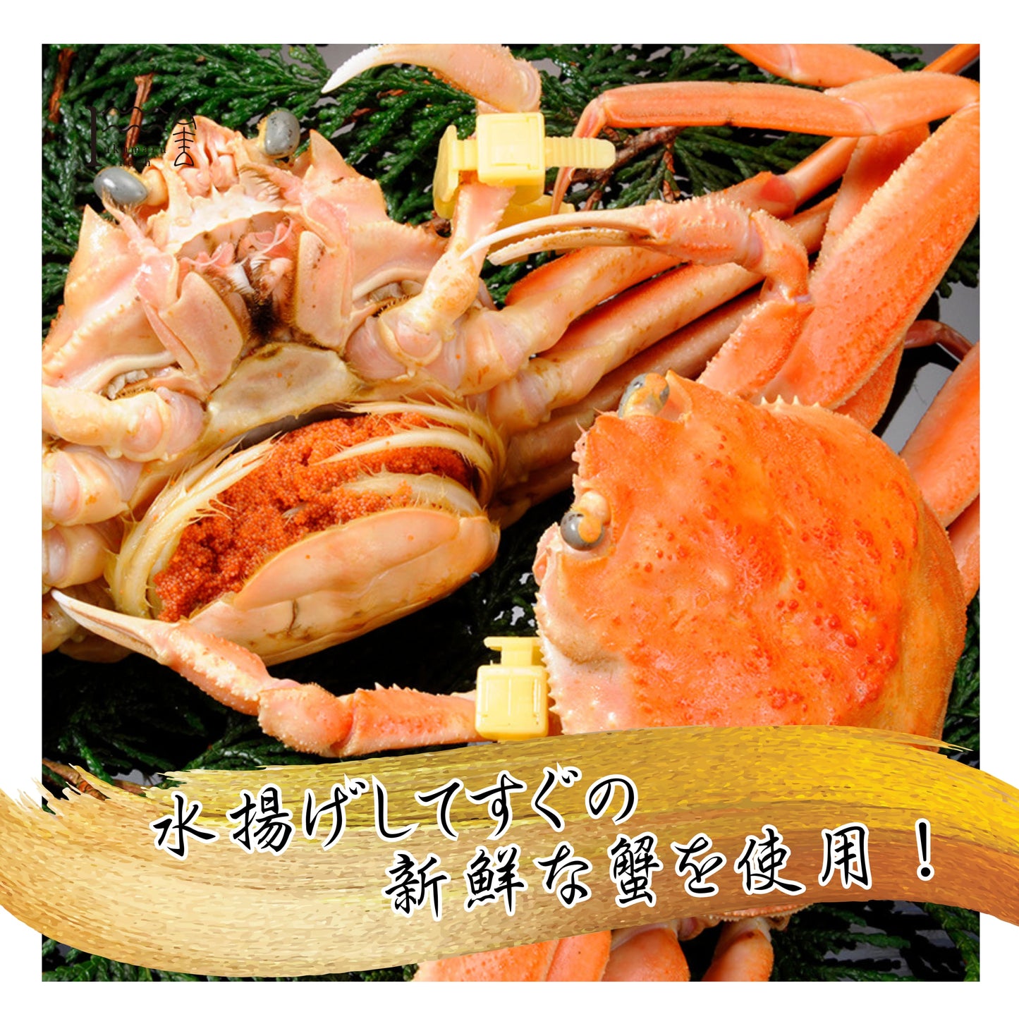 【福井】福丸ふれっしゅ セイコガニ甲羅詰め 1個(越前産)