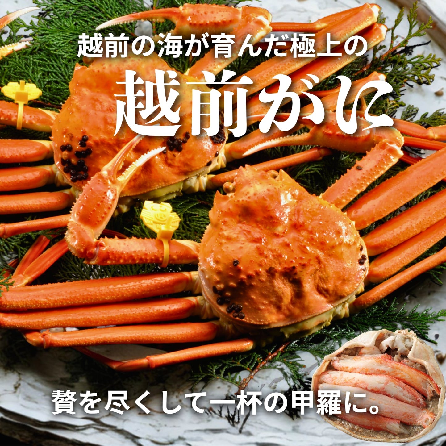【福井】福丸ふれっしゅ 越前産ズワイガニ甲羅盛り 3個セット