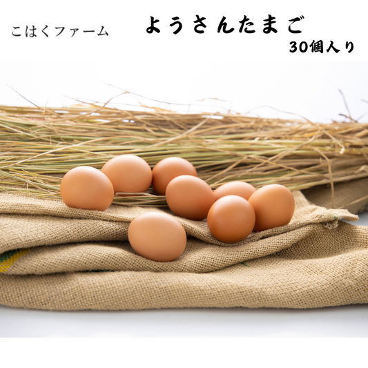 【愛知】こはくファーム　ようさんたまご　30個入り