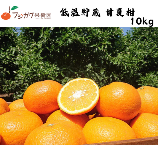 【香川】フジカワ果樹園　低温貯蔵 甘夏柑 10kg
