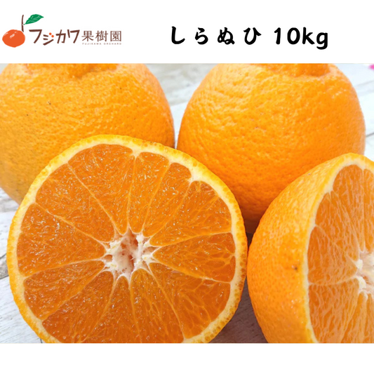 【香川】フジカワ果樹園　しらぬひ 10kg