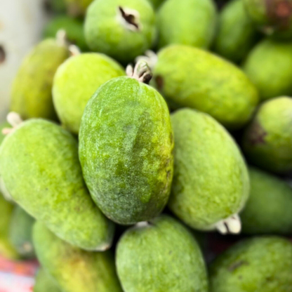 【福島】ゆうゆうファーム　フェイジョアバラエティセット