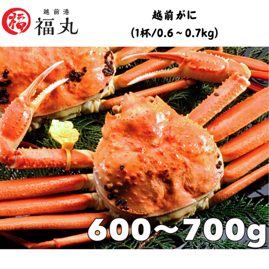 【福井】福丸フーズ　越前がに（1杯/0.6〜0.7kg）