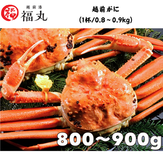 【福井】福丸フーズ　越前がに（1杯/0.8〜0.9kg）