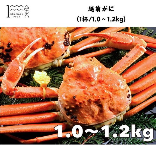 【福井】福丸ふれっしゅ　越前がに（1杯/1.0〜1.2kg）