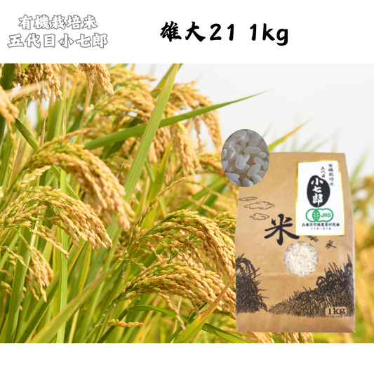 【徳島】有機農園小七郎　雄大21　1kg