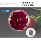 【埼玉】ROSELABO　[冷凍食用バラ] サムライ 200g