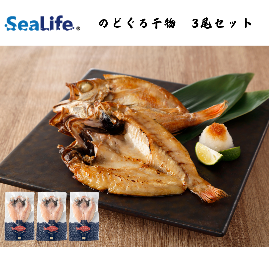 【島根】シーライフ　のどぐろ干物　3尾セット
