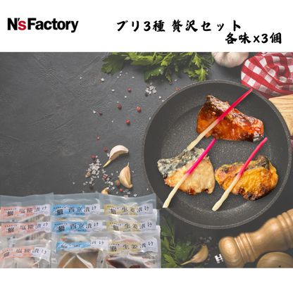 【高知】N`sファクトリー　ブリ3種 贅沢セット 各味×3個