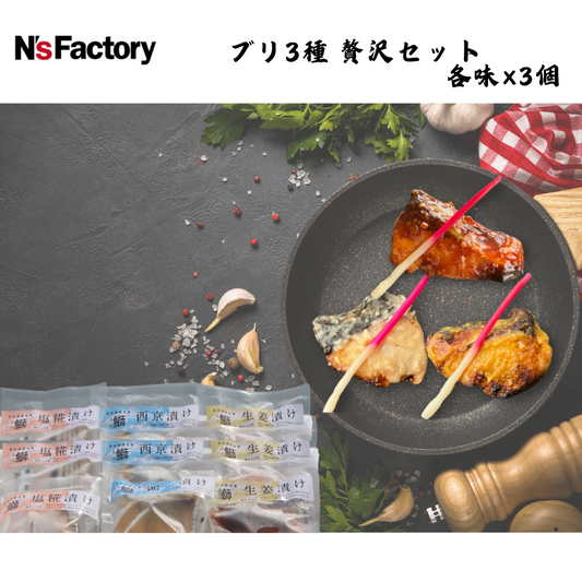 【高知】N`sファクトリー　ブリ3種 贅沢セット 各味×3個