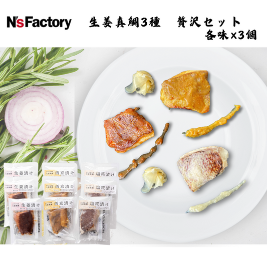 【高知】N`sファクトリー　生姜真鯛3種　贅沢セット  各味×3個