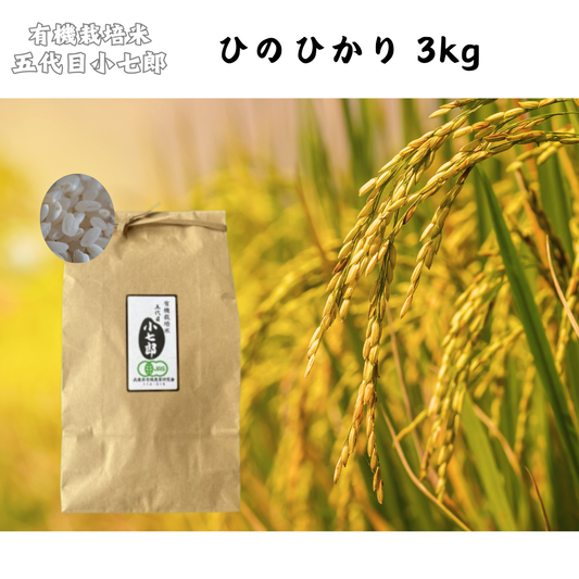 【徳島】有機農園小七郎　ひのひかり　3kg