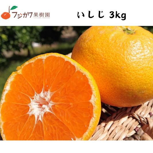 【香川】フジカワ果樹園　いしじ　温州みかん 3kg