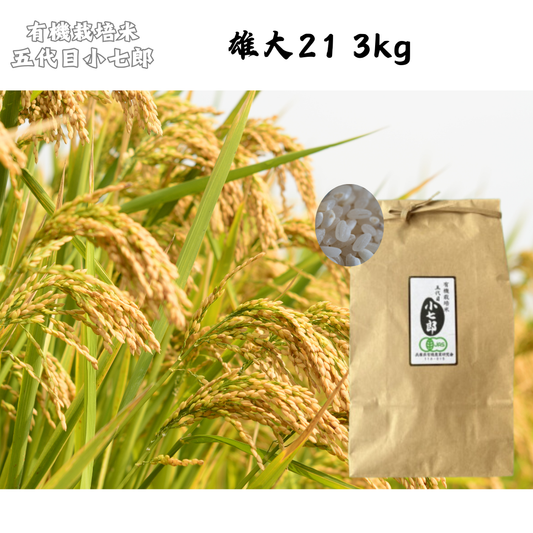 【徳島】有機農園小七郎　雄大21　3kg