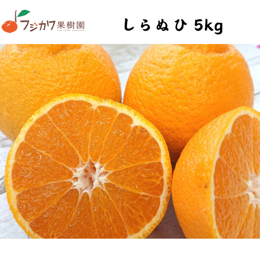 【香川】フジカワ果樹園　しらぬひ 5kg