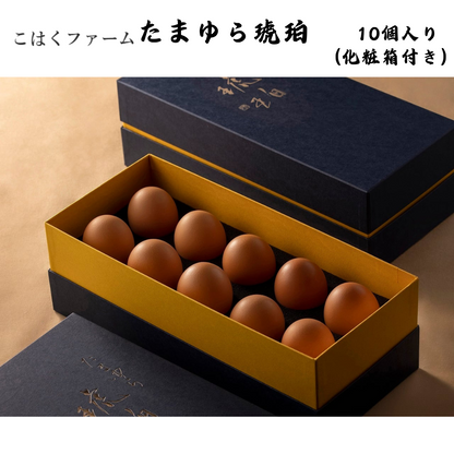 【愛知】こはくファーム　たまゆら琥珀　10個 化粧箱付　