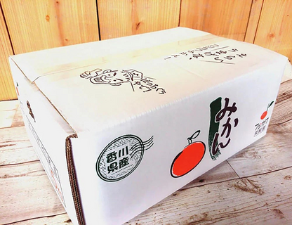 【香川】フジカワ果樹園　いしじ　温州みかん 5kg