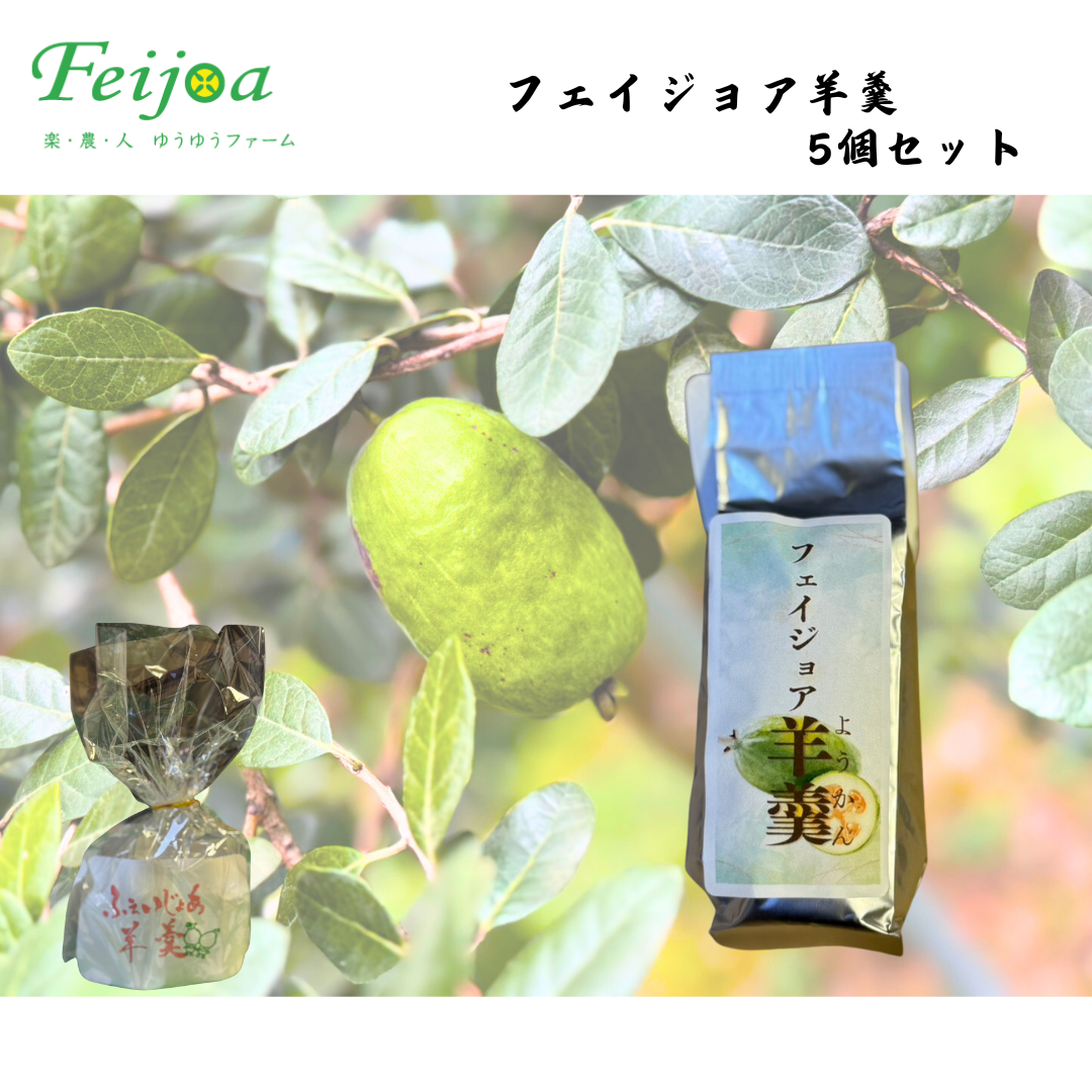 【福島】ゆうゆうファーム　フェイジョア羊羹　5個セット
