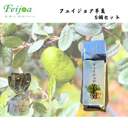 【福島】ゆうゆうファーム　フェイジョア羊羹　5個セット