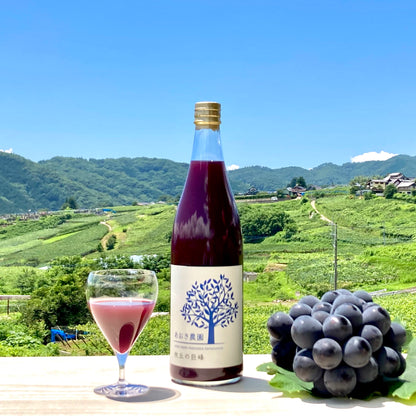 【山梨】あおき農園　巨峰＆桃ジュースの2種セット　（720ml大瓶タイプ）