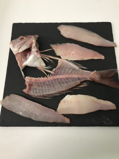 【鹿児島】KURIYA　鯛の旨味堪能セット