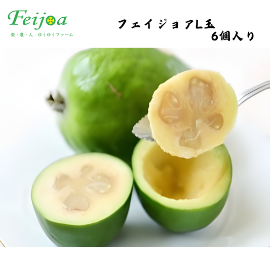 【福島】ゆうゆうファーム　フェイジョアL玉 ６個入り
