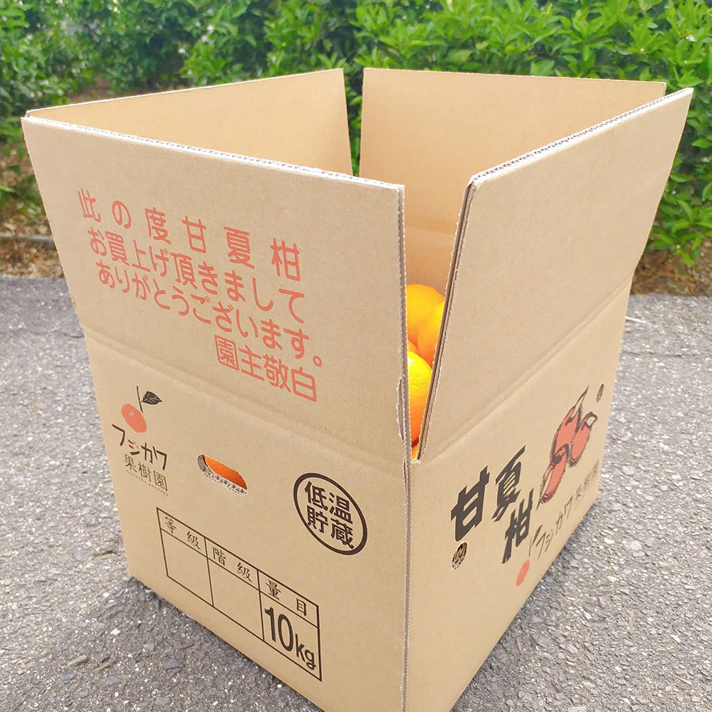 【香川】フジカワ果樹園　低温貯蔵 甘夏柑 10kg