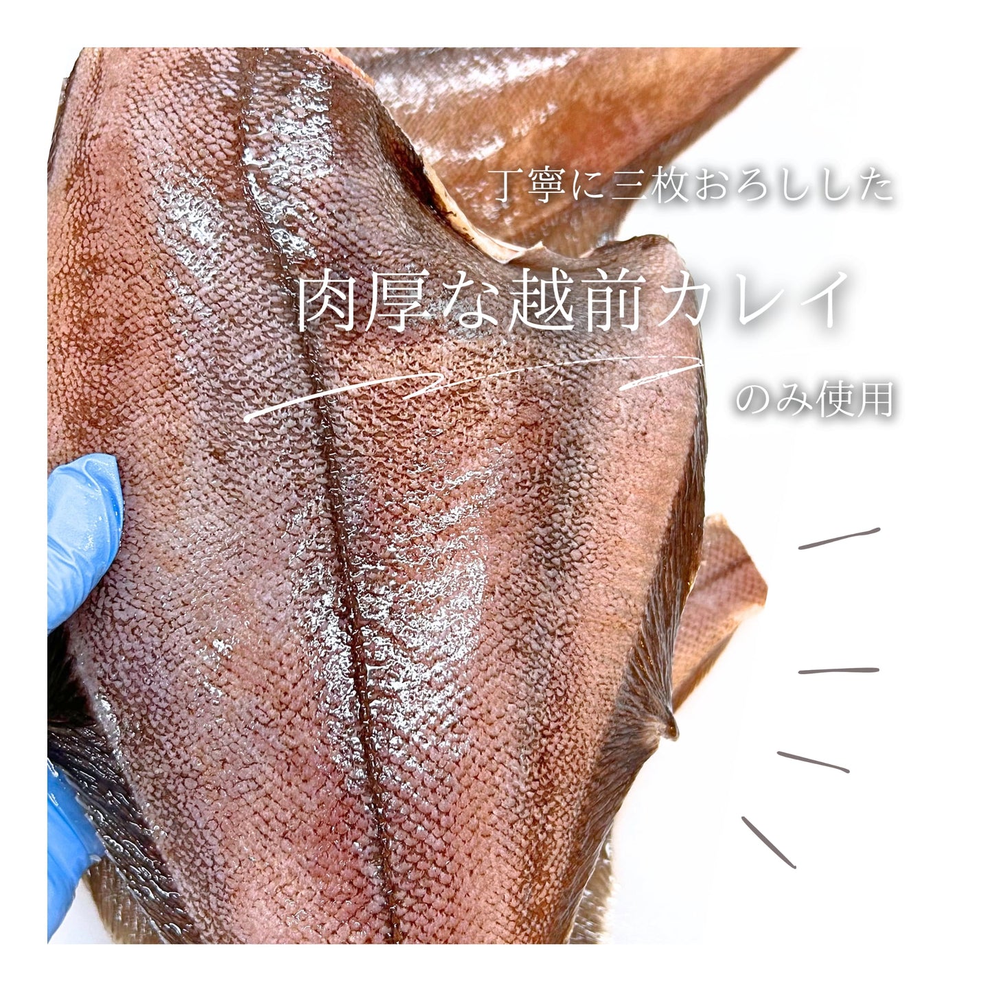 【福井】福丸ふれっしゅ　純米大吟醸酒粕使用　越前カレイの酒粕たっぷり漬け 3個セット