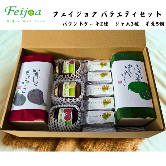 【福島】ゆうゆうファーム　フェイジョアバラエティセット