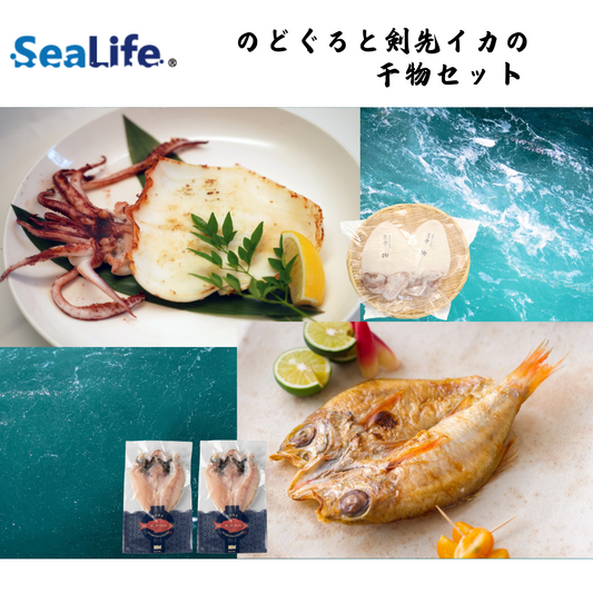 【島根】シーライフ　のどぐろと剣先イカの 干物セット