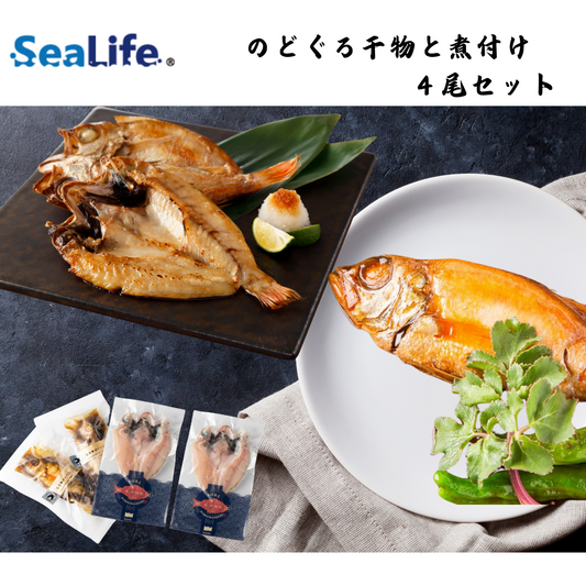 【島根】シーライフ　のどぐろ干物と煮付け ４尾セット