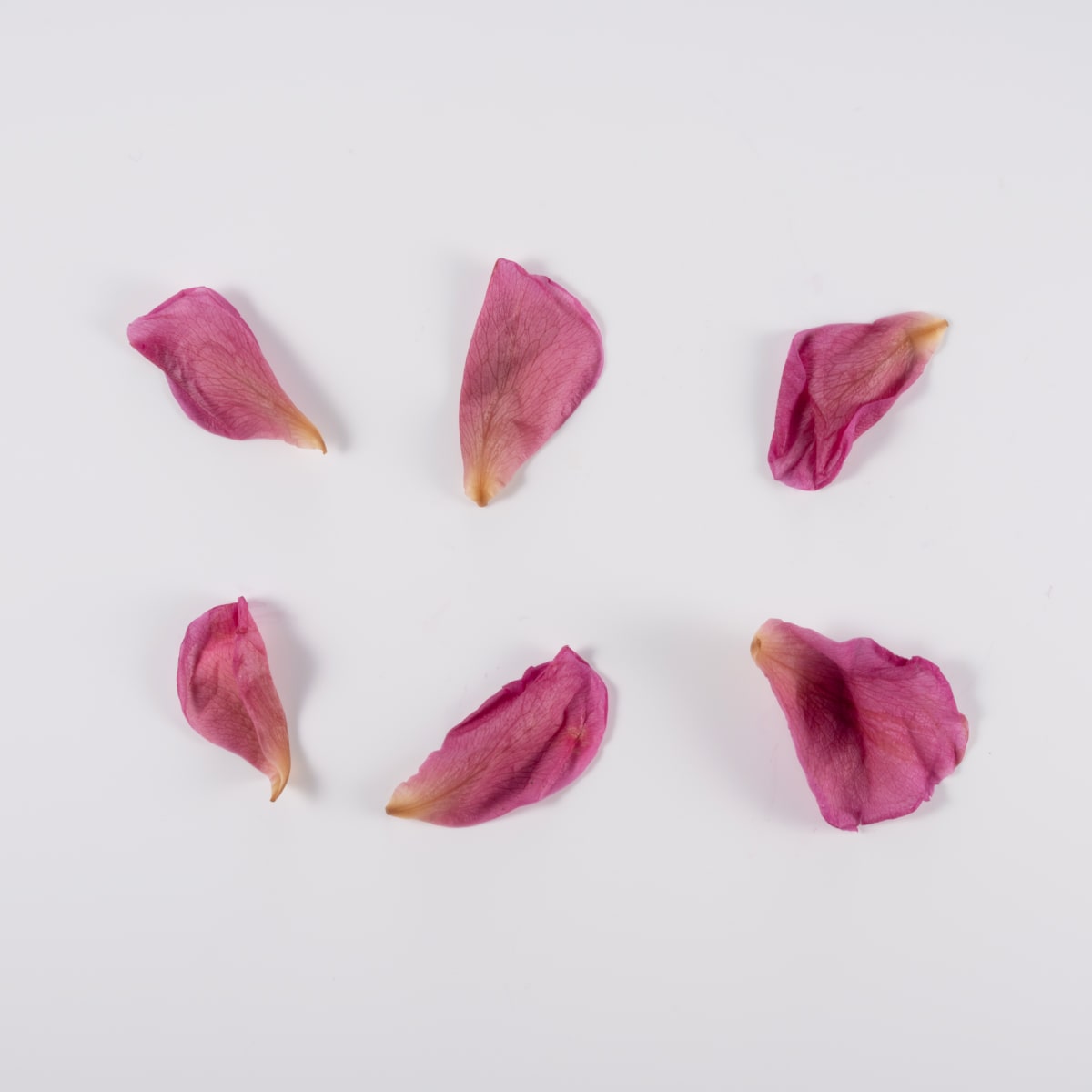 【埼玉】ROSELABO　[冷凍食用バラ] ルージュロワイヤル 200g