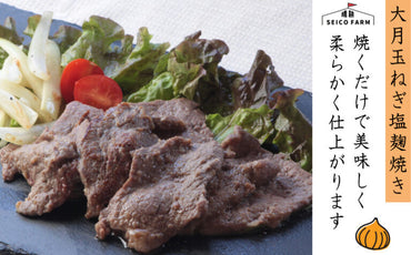 【山梨】晴耕ファーム　「お肉屋さんの大月玉ねぎ塩麹漬け」 牛＆豚 1.4kgセット